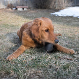 KONG Extreme Ball With Hole