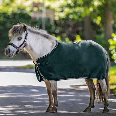 Waldhausen Economic Fleece Rug #colour_fir-green