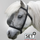 Waldhausen Set of 2 Fly Mask Basic without Ears #colour_black