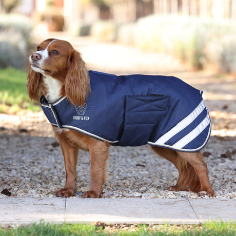Manteau imperméable pour chien Shires Digby &amp; Fox 