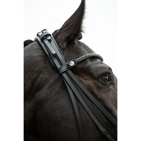 HKM Double Bridle -Grace- #colour_black