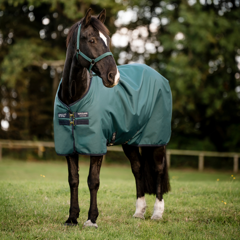 Horseware Ireland Amigo Ripstop 900D 100g Pony Turnout Rug #colour_dynasty-green-navy-silver