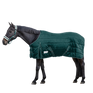 Waldhausen Economic 100g Stable Rug #colour_fir-green