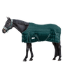 Waldhausen Economic 200g Stable Rug #colour_fir-green