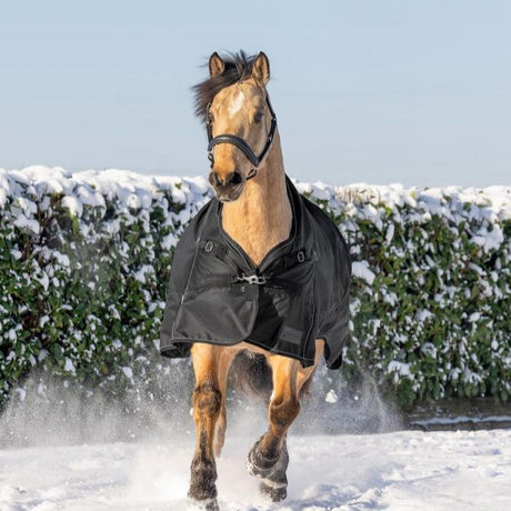 Waldhausen Scandic High Neck 200g Turnout Rug #colour_black