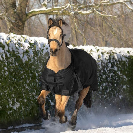 Waldhausen Arctic 50g Turnout Rug #colour_black