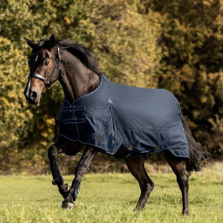 Waldhausen Arctic 50g Turnout Rug #colour_night-blue