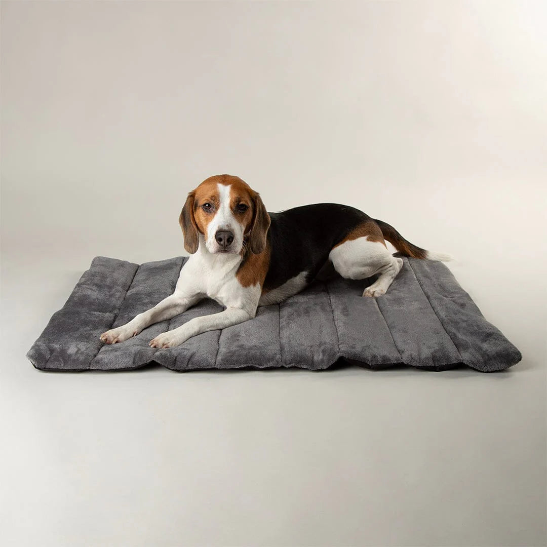 Scruffs Expedition Roll Up Travel Pet Bed #colour_storm-grey