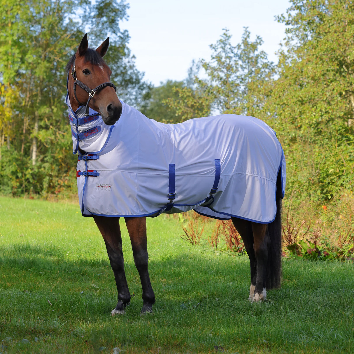 Shires Tempest Original Fly Combo Rug