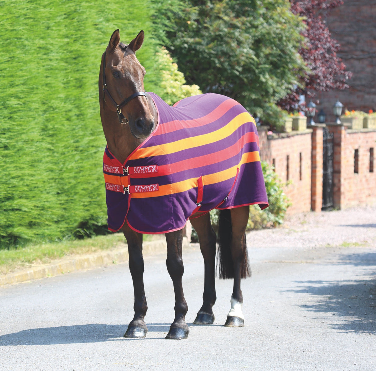 Tempest Original Newmarket Fleece Rug