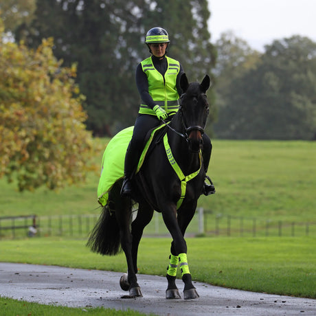 Shires EQUI-FLECTOR Mesh Exercise Sheet #colour_yellow