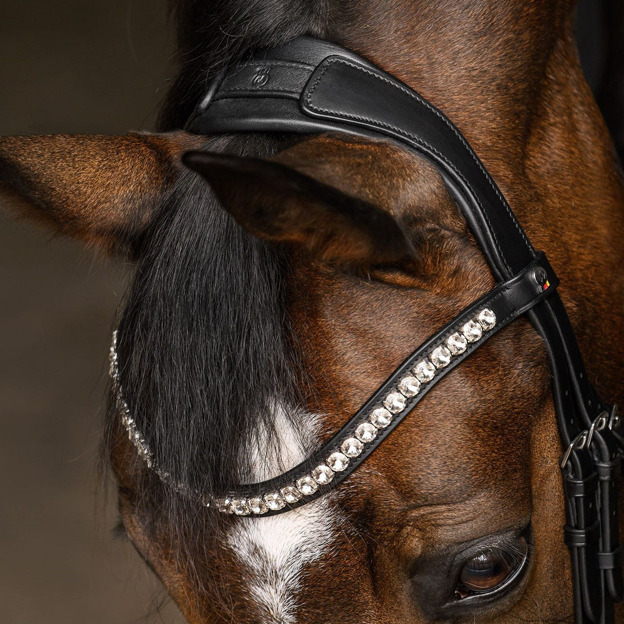 Waldhausen Evermore X-Line Bridle #colour_black-white