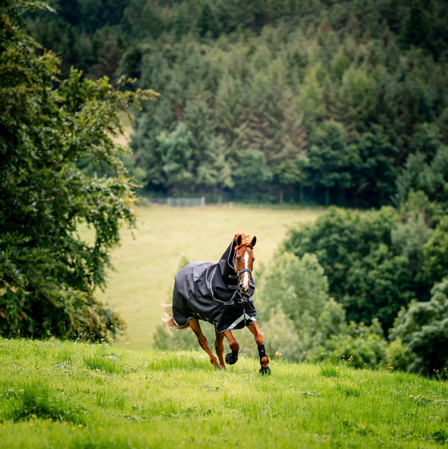 Horseware Ireland Rambo Supreme 1680D Turnout Vari-Layer 450g #colour_black-thunderstorm-grey-silver