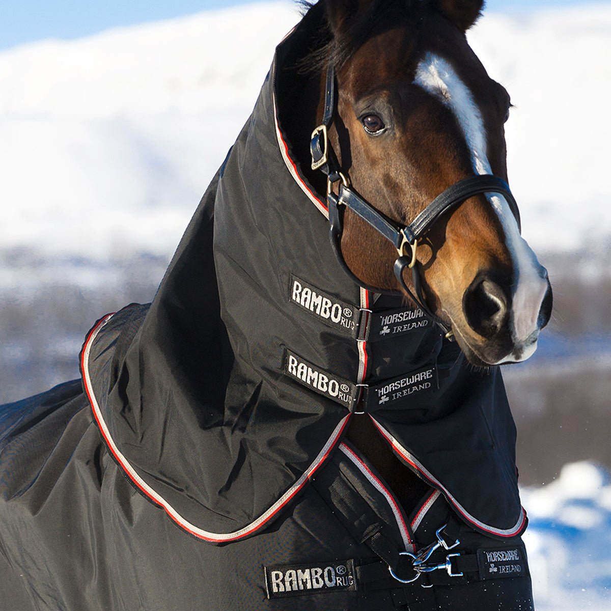 Horseware Ireland Rambo Supreme Hood 250g #colour_black-orange