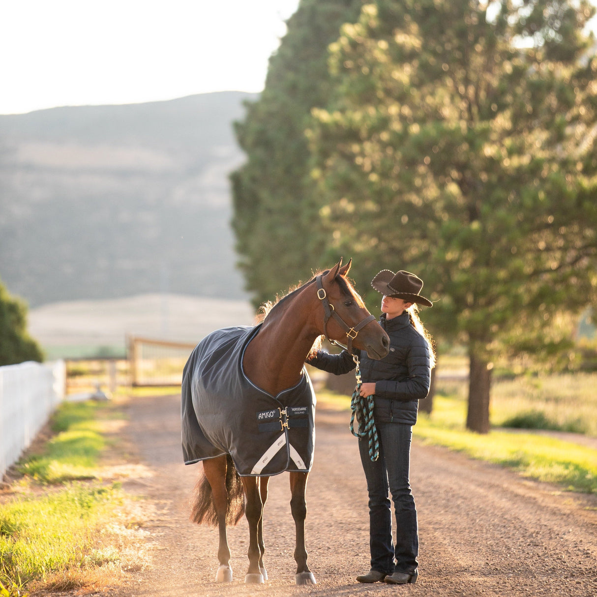 Horseware Ireland Amigo Bravo 12 Original 0g Lite Turnout Rug