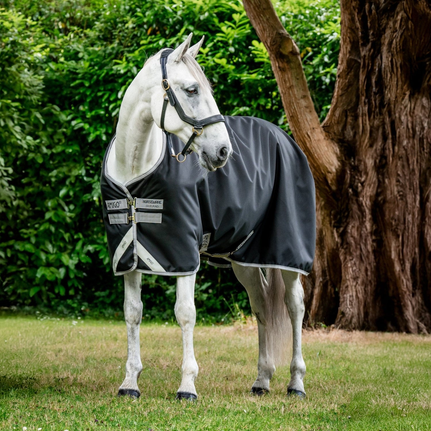 Horseware Ireland Amigo Bravo 12 Original 100g Turnout Rug #colour_black-titanium-grey-silver