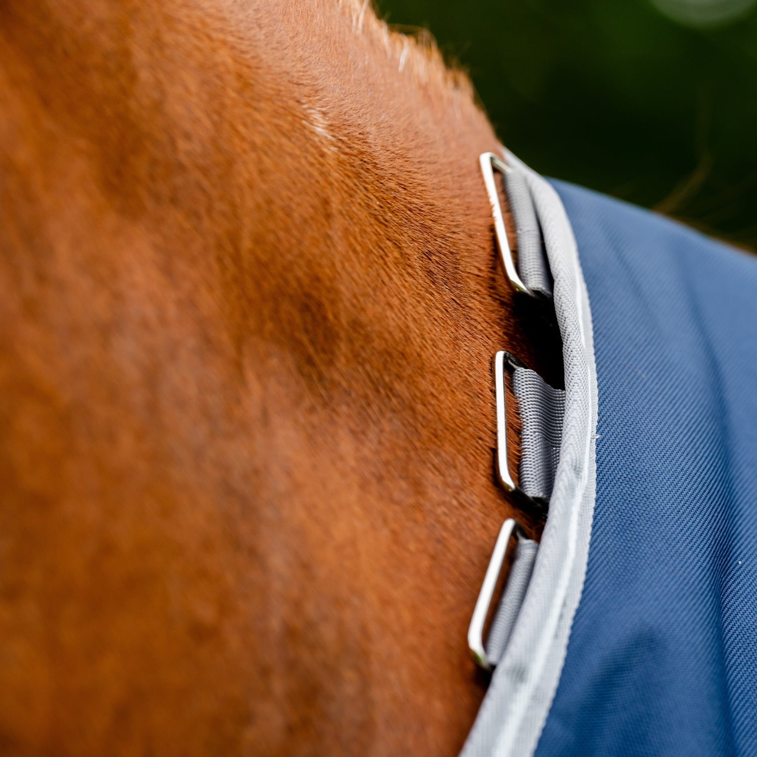 Horseware Ireland Amigo Bravo 12 Plus Bundle V-Front 50g Turnout Rug #colour_navy-titanium-grey-silver