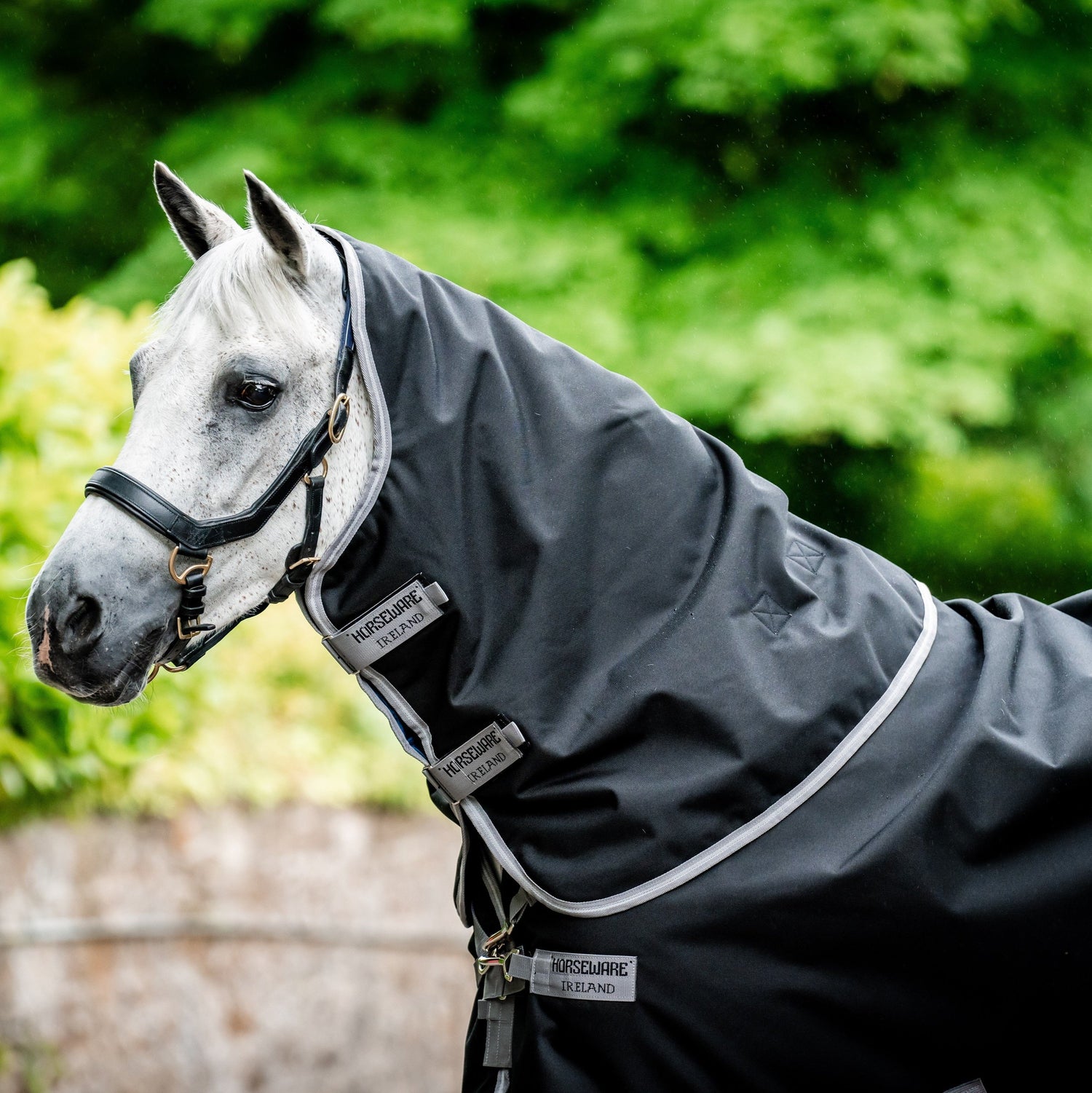 Horseware Ireland Amigo Bravo 12 Plus Bundle V-Front 50g Turnout Rug #colour_black-titanium-grey-silver