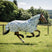 Horseware Ireland Amigo Bug Rug XL Plus #colour_dragonfly-print-silver-blue-sage