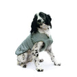 Ancol Muddy Paws Ultimate Reflective Dog Coat #colour_silver