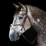 Whitaker Vienna Bridle With Reins #colour_havana