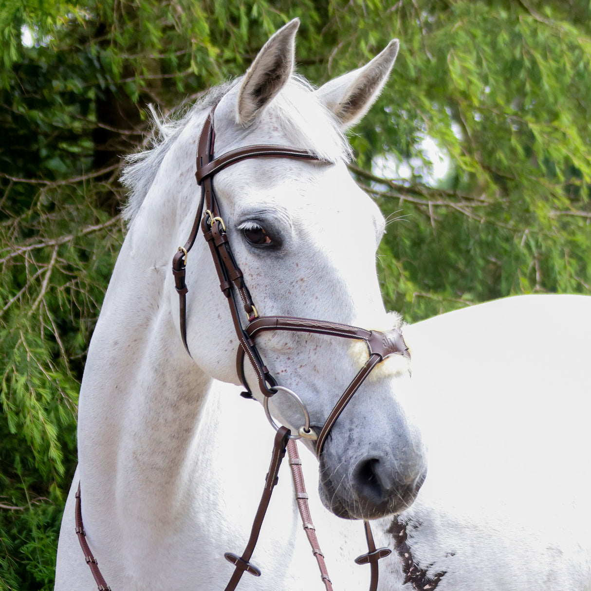Whitaker Vienna Bridle With Reins #colour_havana