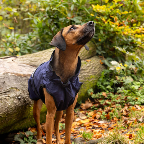 Danish Design 3-In-1 Dog Coat #colour_navy