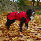 Danish Design 3-In-1 Dog Coat #colour_red