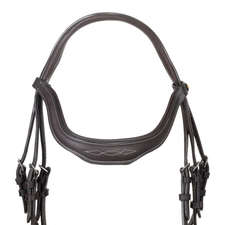 Soft leather stitched bridle