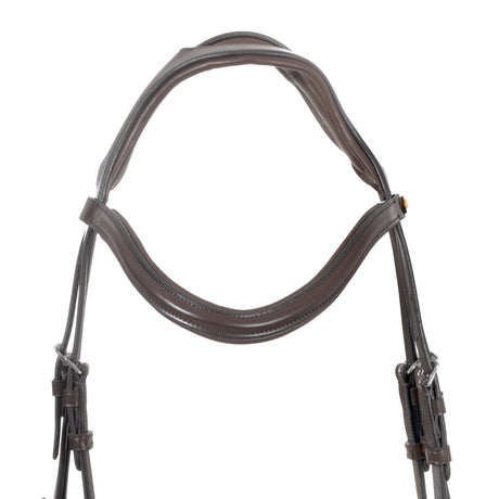 English bridle with anatomical noseband