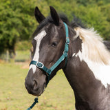 Gallop Headcollar & Lead Rope Set