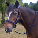 Gallop Premium Padded Headcollar With Lead Rope #colour_navy