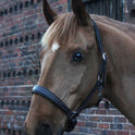Gallop Premium Padded Leather Headcollar #colour_brown