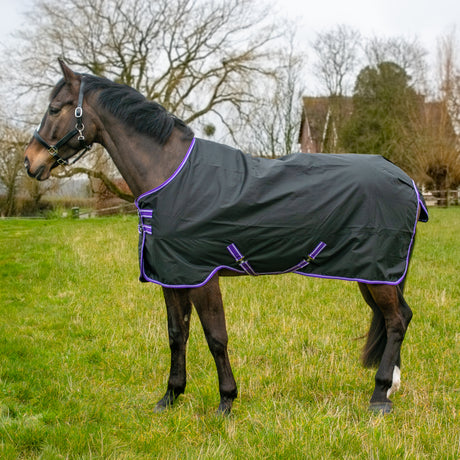 GS Equestrian 600D Waterproof Turnout Rug 100g