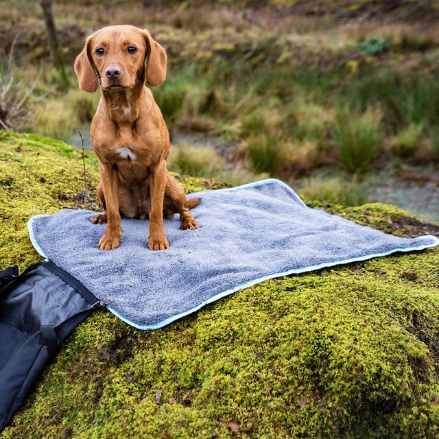 Henry Wag Easy-Roll Travel Bed