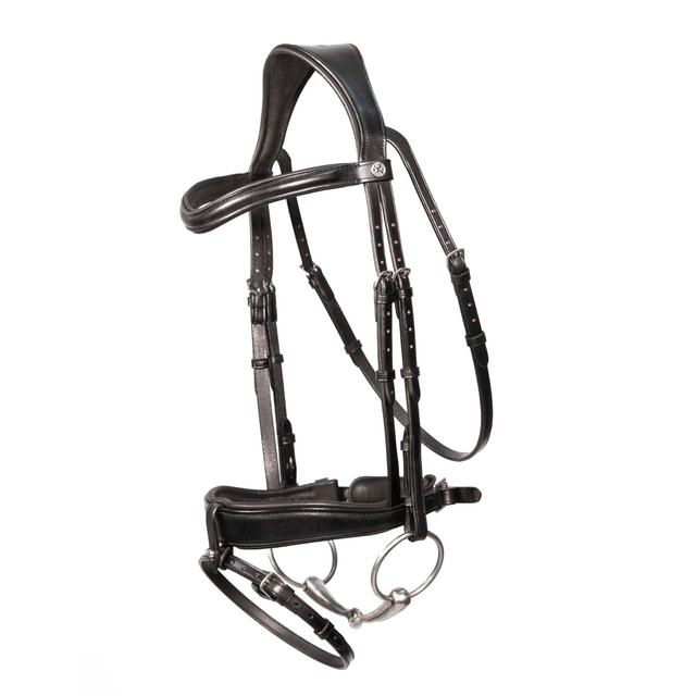 Henry James Dressage Bridle #colour_black