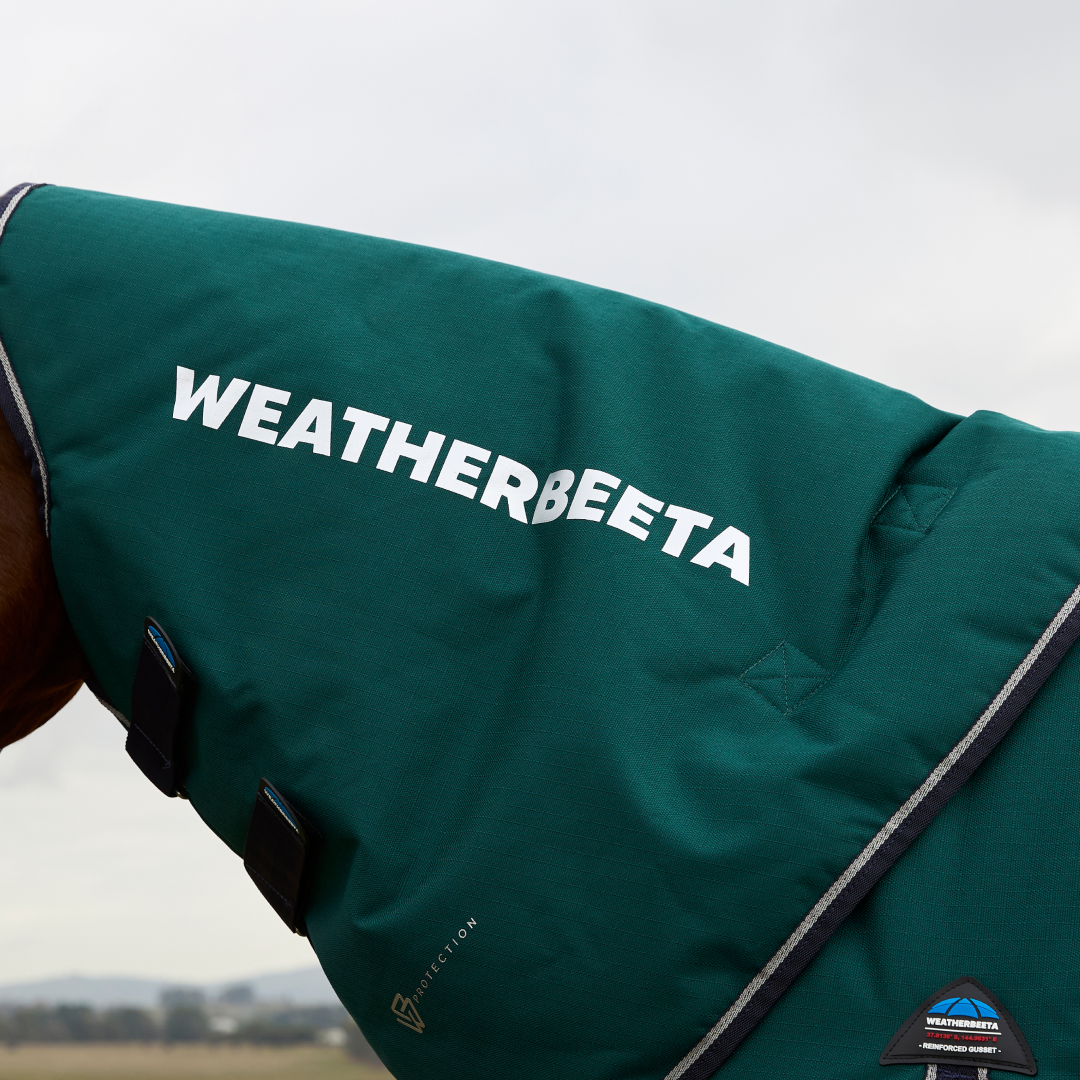 Weatherbeeta Comfitec Plus Dynamic 220G Detach-A-Neck Turnout #colour_forest-green-navy