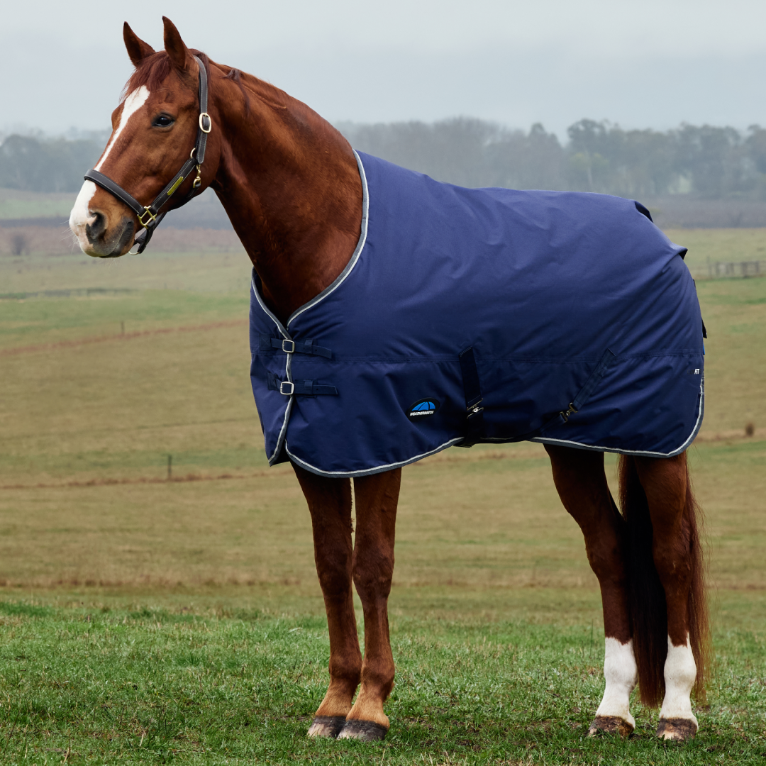 Weatherbeeta Comfitec Tyro 220G Standard Neck Turnout #colour_navy-charcoal