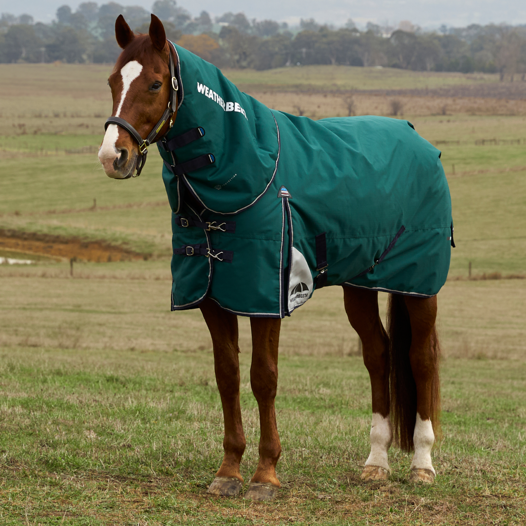 Weatherbeeta Comfitec Plus Dynamic 220G Detach-A-Neck Turnout #colour_forest-green-navy