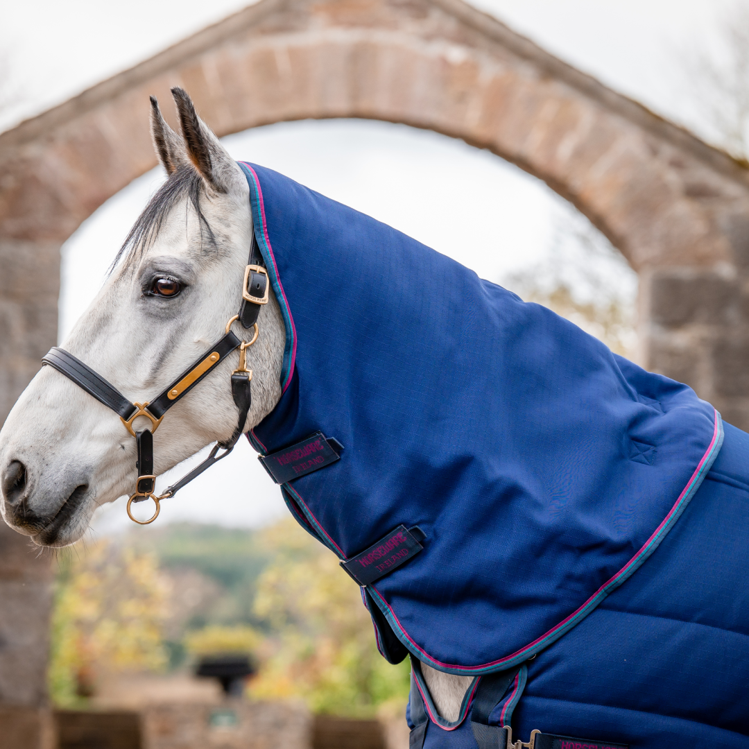 Horseware Ireland Rambo Optimo 200g Plus Stable Rug #colour_navy-burgundy-teal-navy