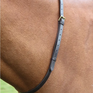 Shires Velociti Gara en cuir STRAP