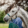 Horseware Ireland Signature Braided Headcollar #colour_brown-navy-hunter-green