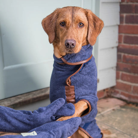 Ruff & Tumble Dog Drying Mitts #colour_navy