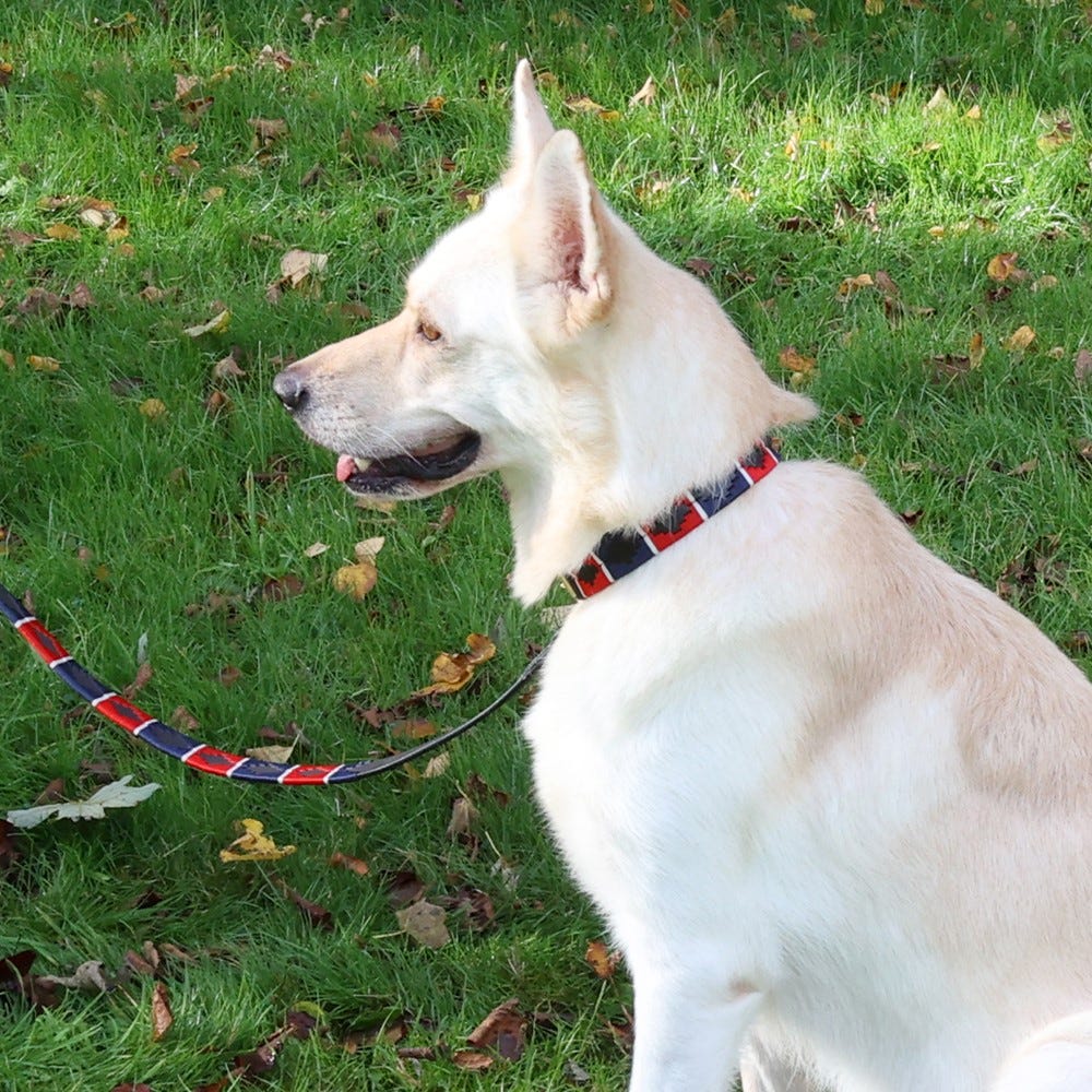 Benji & Flo Sublime Polo Leather Dog Lead #colour_red-navy-white