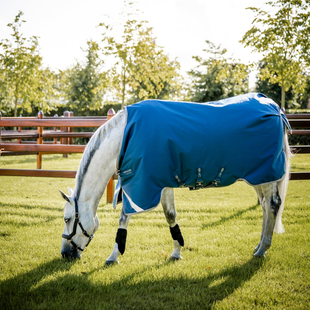 Horseware Ireland Ionic 100g Therapy Turnout Rug #colours_imperial-blue-silver-navy