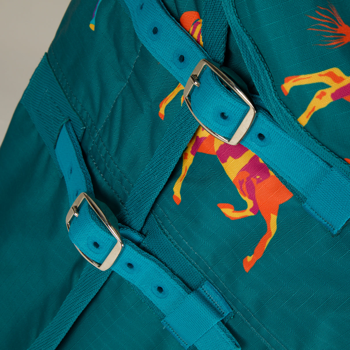 Bridleway Ontario 100g Combo Turnout Rug #colour_teal-horse