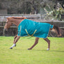 Bridleway Ontario 100g Turnout Rug #colour_green