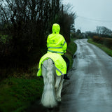 EQUIDRY Exercise Sheet Lite #colour_hi-vis-yellow
