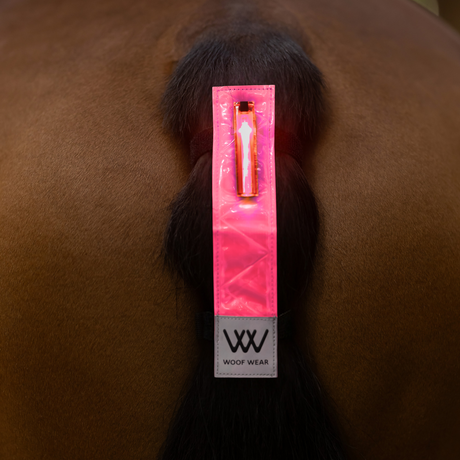 Woof Wear LED Hi Vis Tail Light #colour_hi-viz-pink