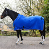 Whitaker Club Show Rug #colour_royal-blue